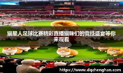 猫星人足球比赛精彩直播猫咪们的竞技盛宴等你来观看