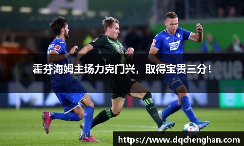 霍芬海姆主场力克门兴，取得宝贵三分！