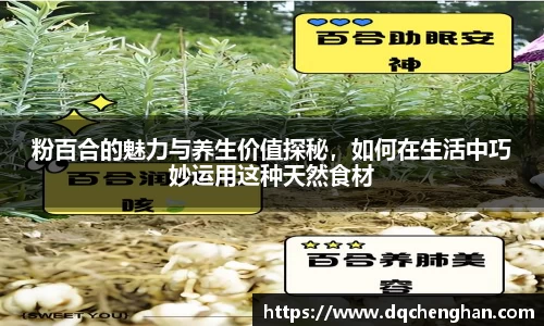 粉百合的魅力与养生价值探秘，如何在生活中巧妙运用这种天然食材